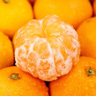 25년 옥황 조생감귤 5kg 중대과 (M-L)